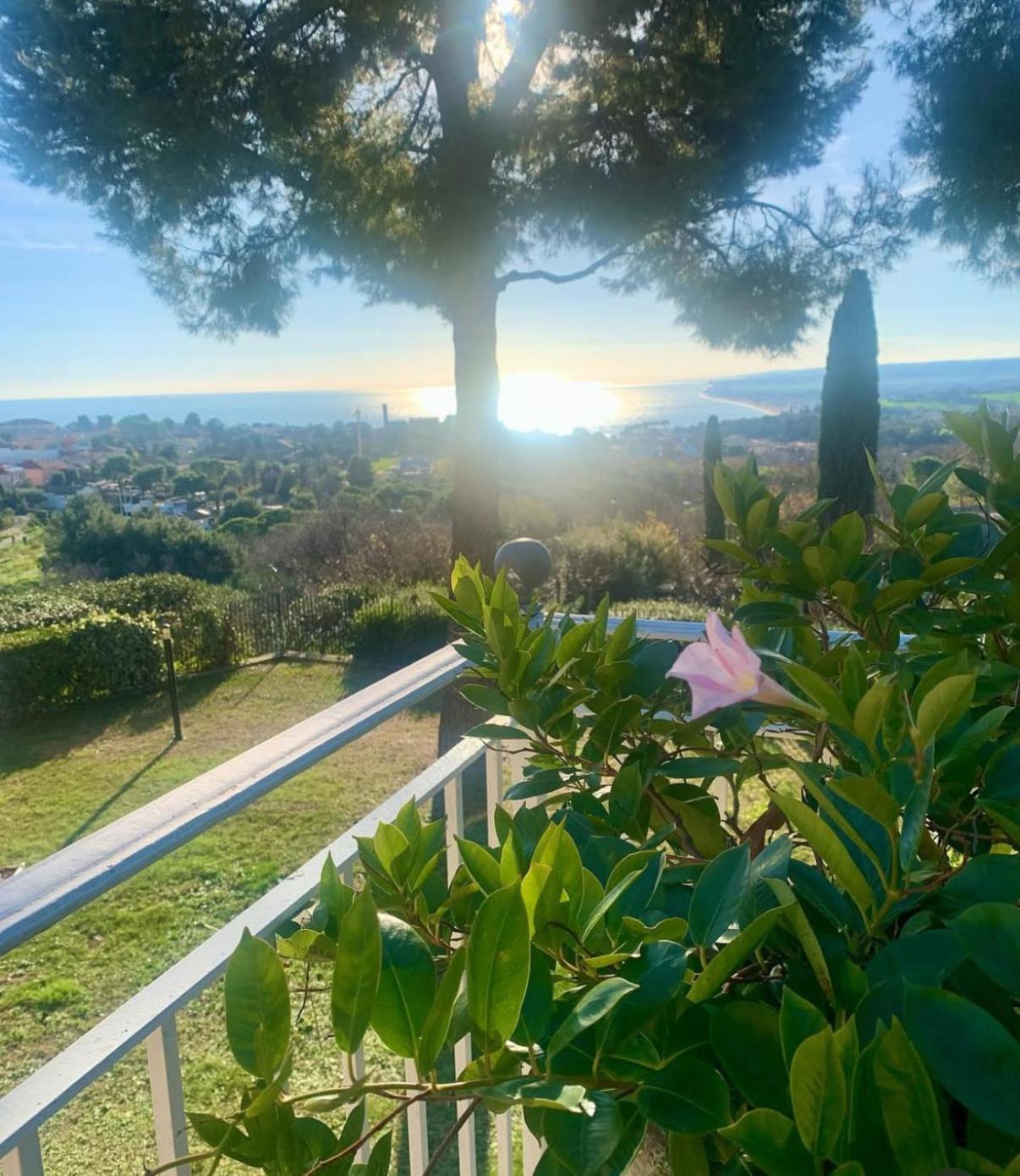 לינה וארוחת בוקר סירולו Tra Gli Alberi E Il Mare מראה חיצוני תמונה